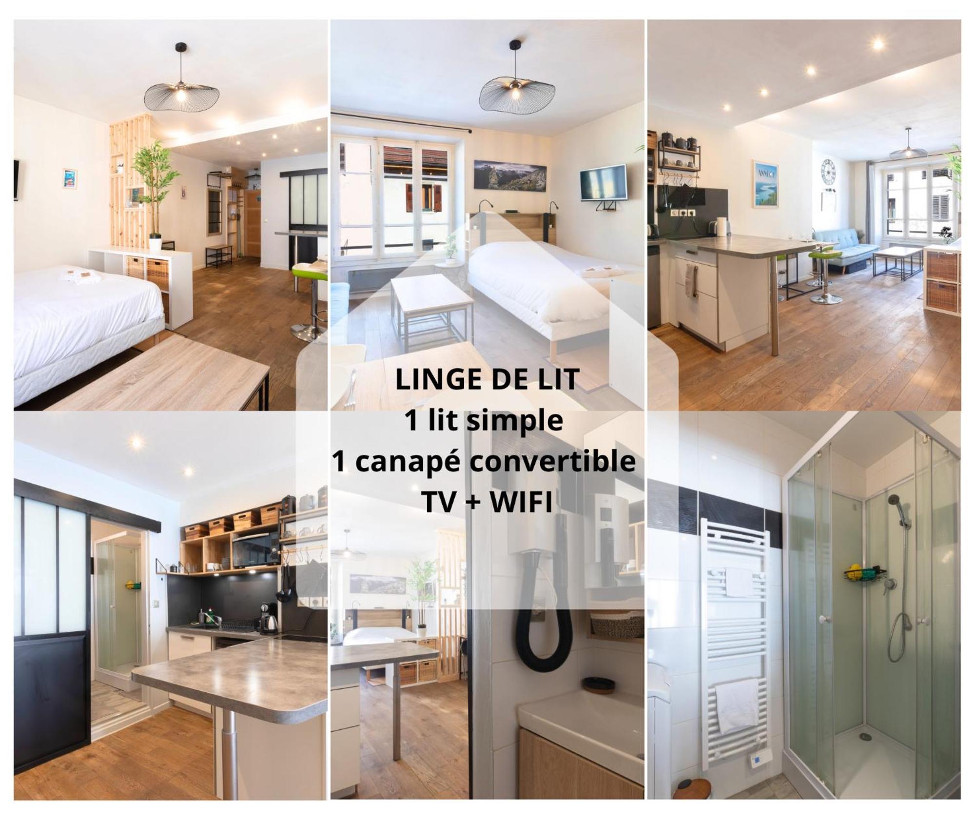 Apartment & Le Cocon Centre - Proche Gare Et