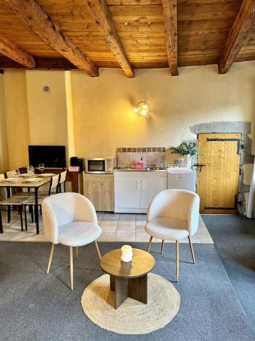Appartement Cocon Au Coeur De La Vieille Annecy