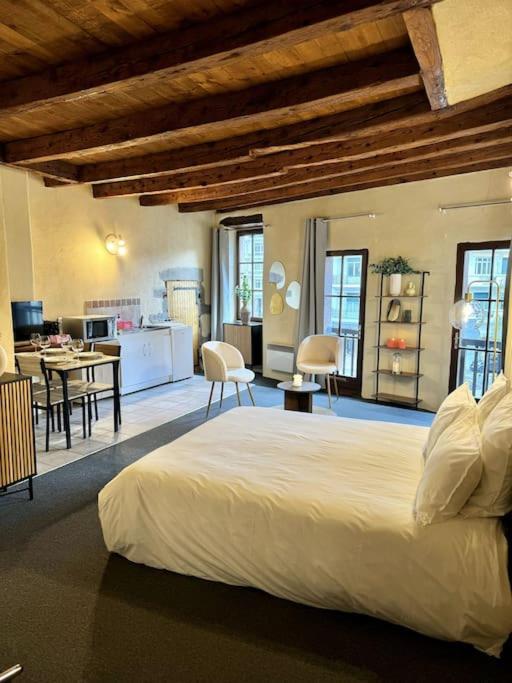 Appartement Cocon Au Coeur De La Vieille Annecy
