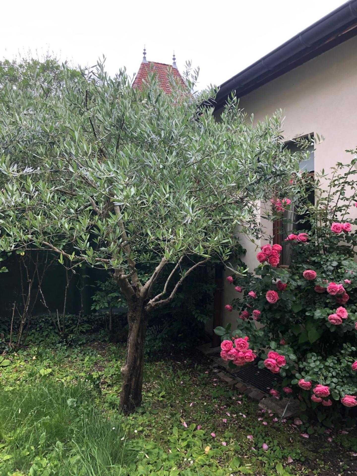 Les Jardins Du Chateau Annecy