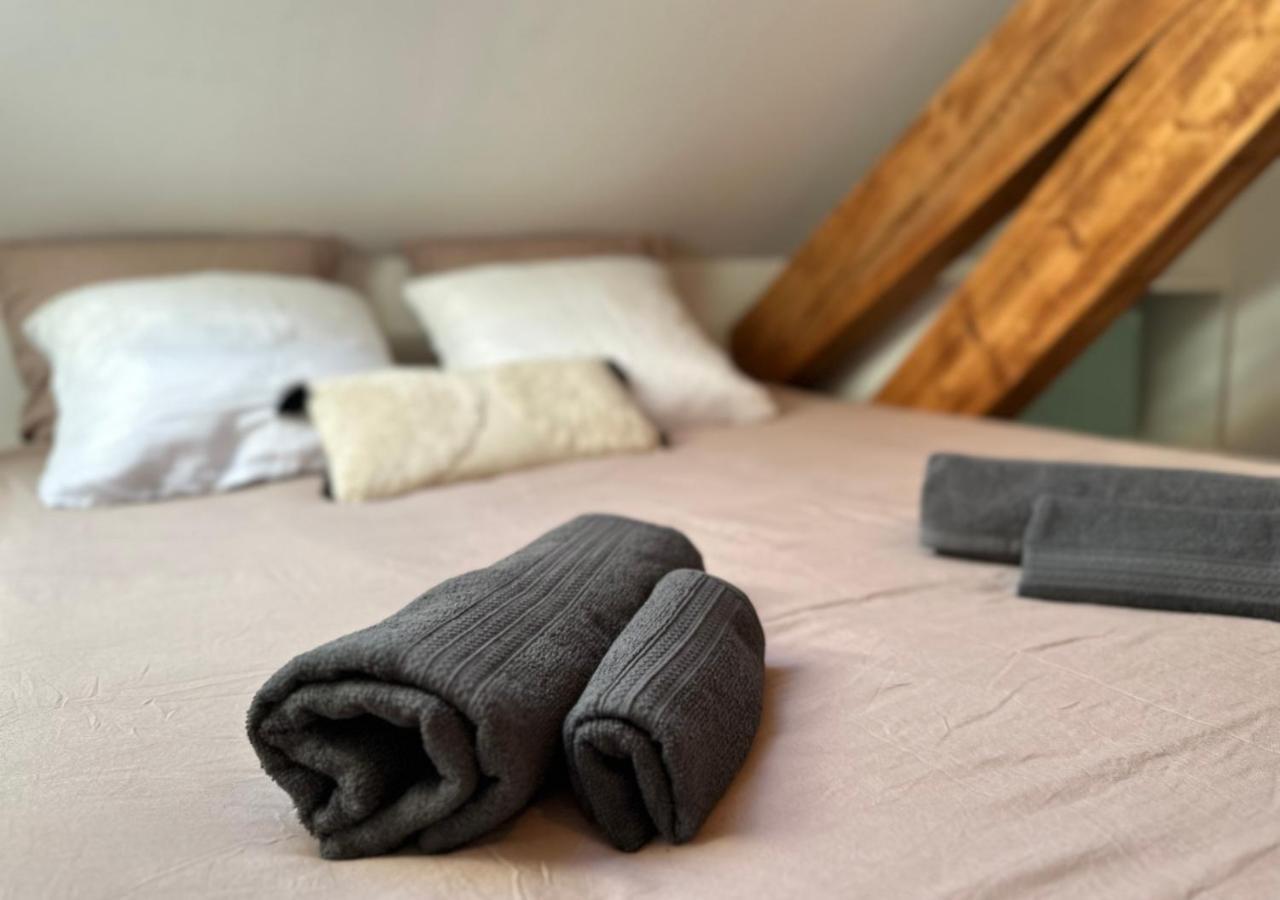 Apartment Duplex Loft - & Cinema Annecy