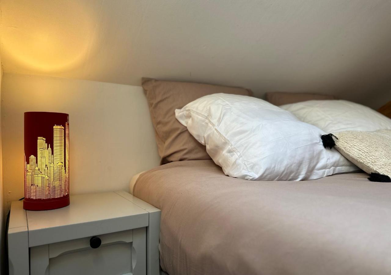 Duplex Loft - & Cinema Annecy