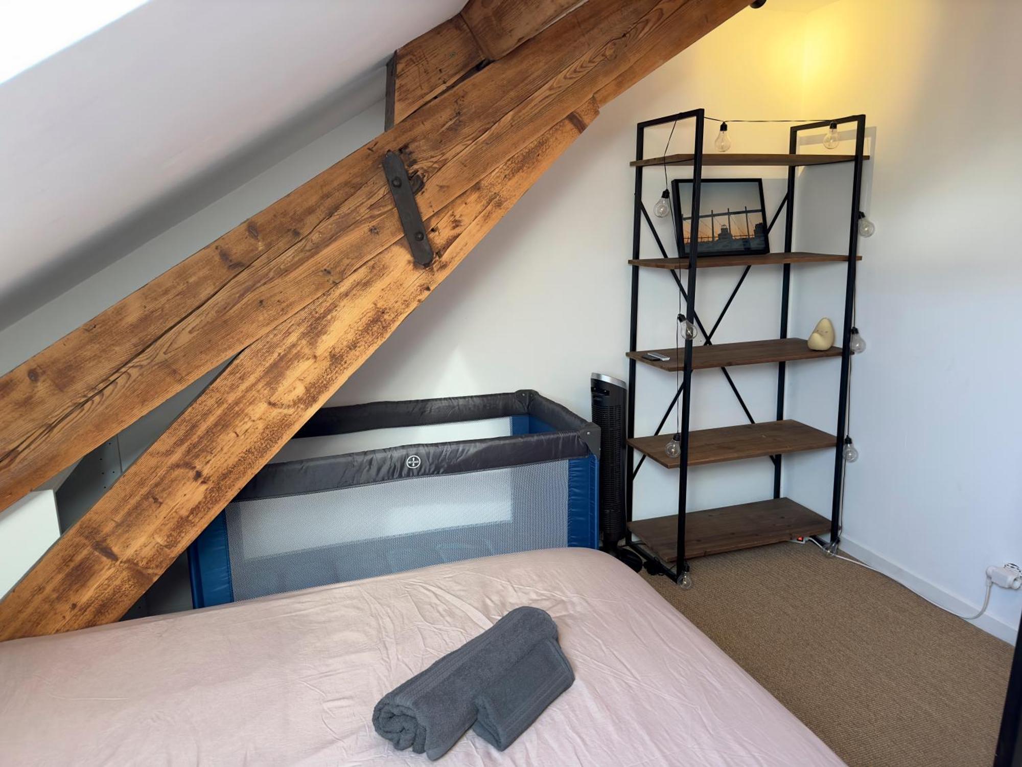 Duplex Loft - & Cinema * Annecy