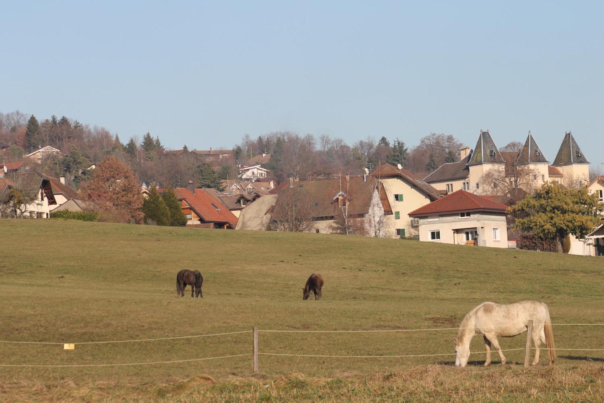La Maison De Promery - Holiday home *