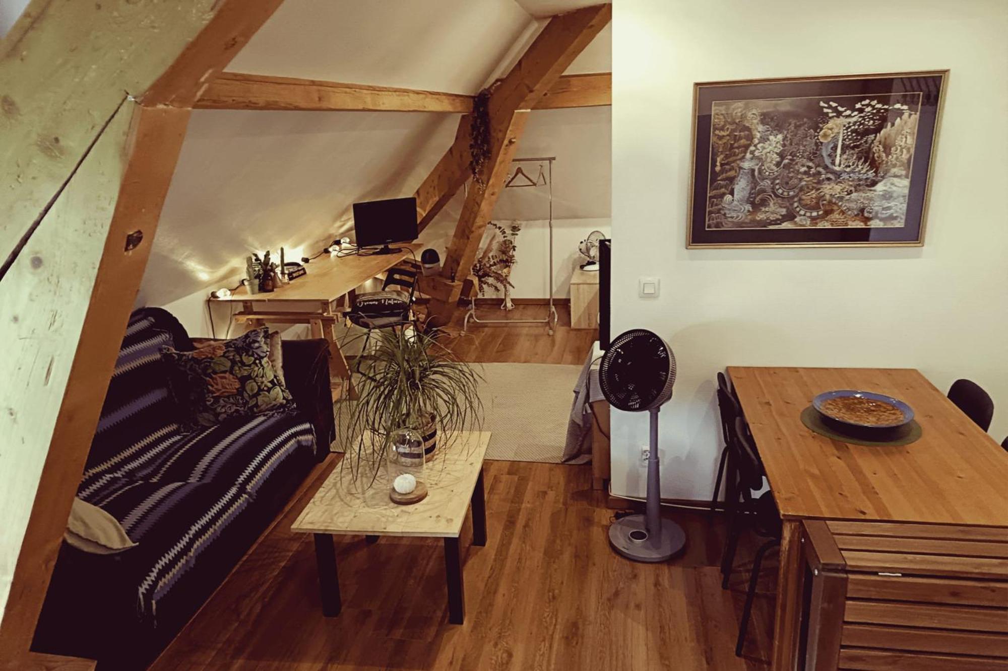 Apartment Charming Near Center Annecy