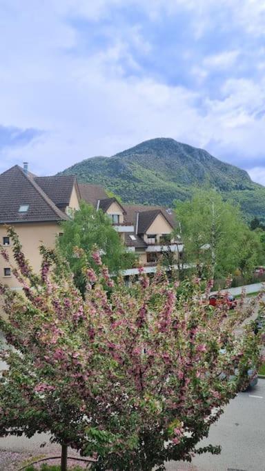 In Annecy-le-vieux Near Albigny Annecy