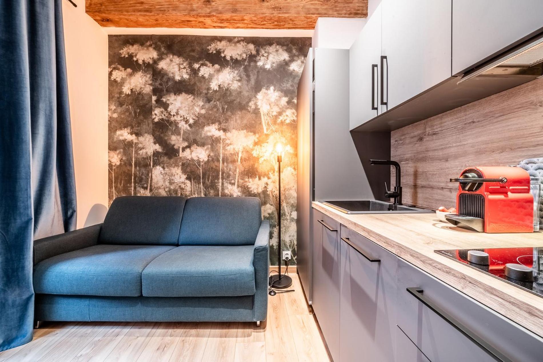 Coeur Vieille Appartement Annecy