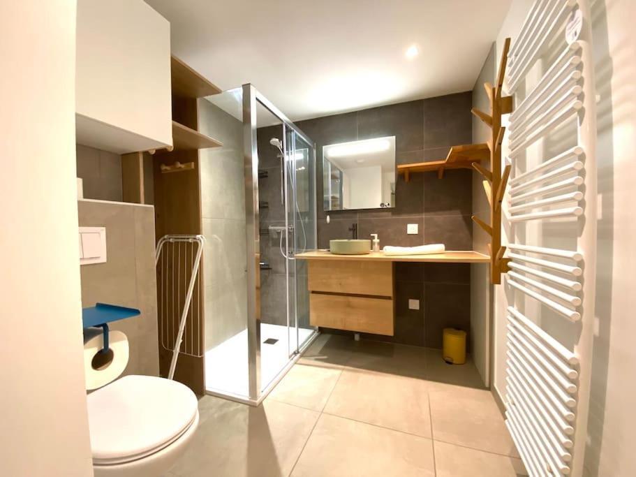 Astoria - Parking, Velos, Jardin Et Terrasse * Annecy