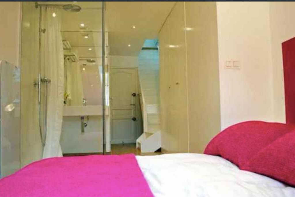 Le Duplex De Notre Dame * Annecy