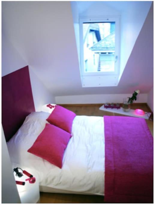 Le Duplex De Notre Dame * Annecy