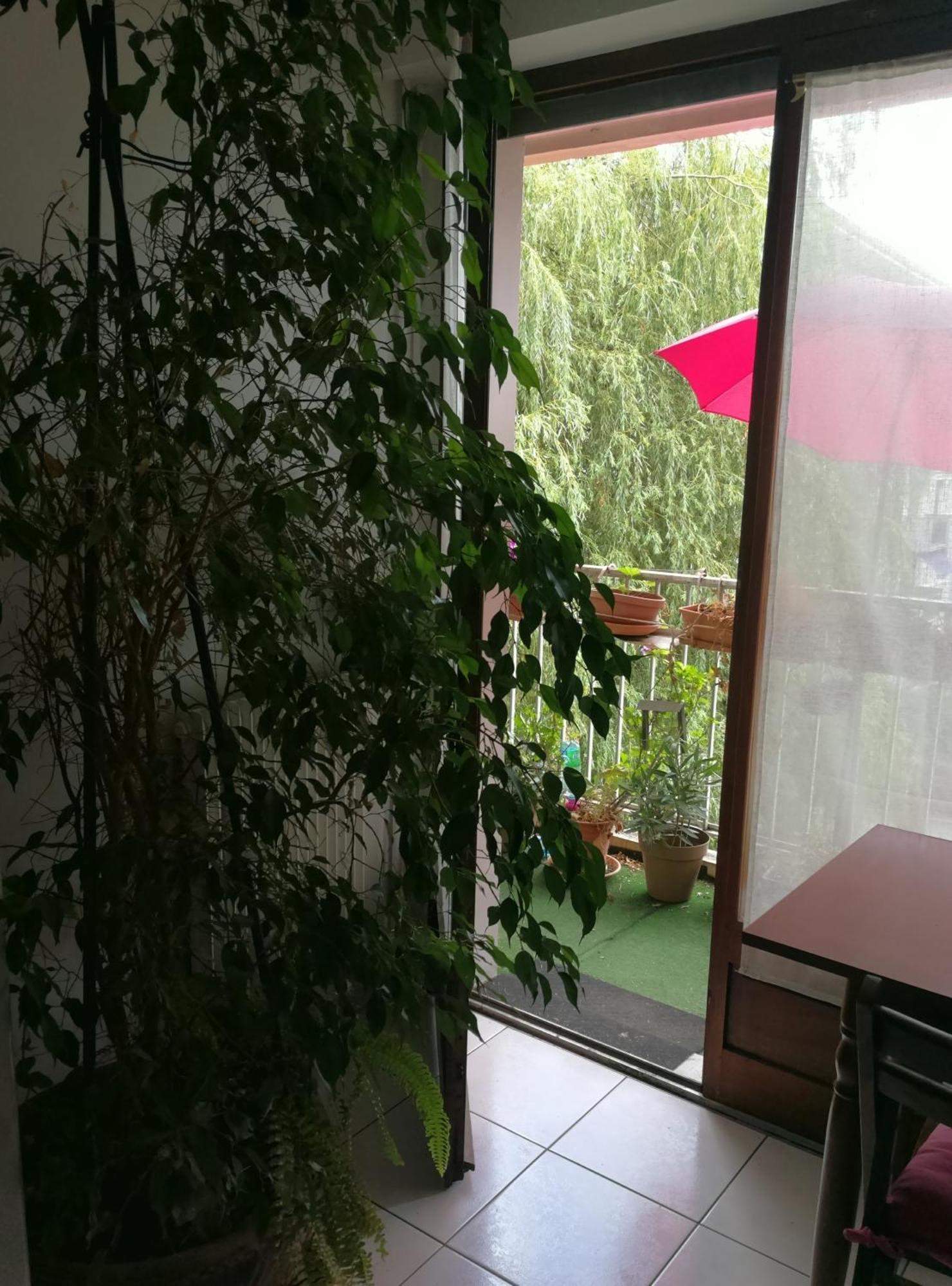 Séjour chez l'habitant Nine