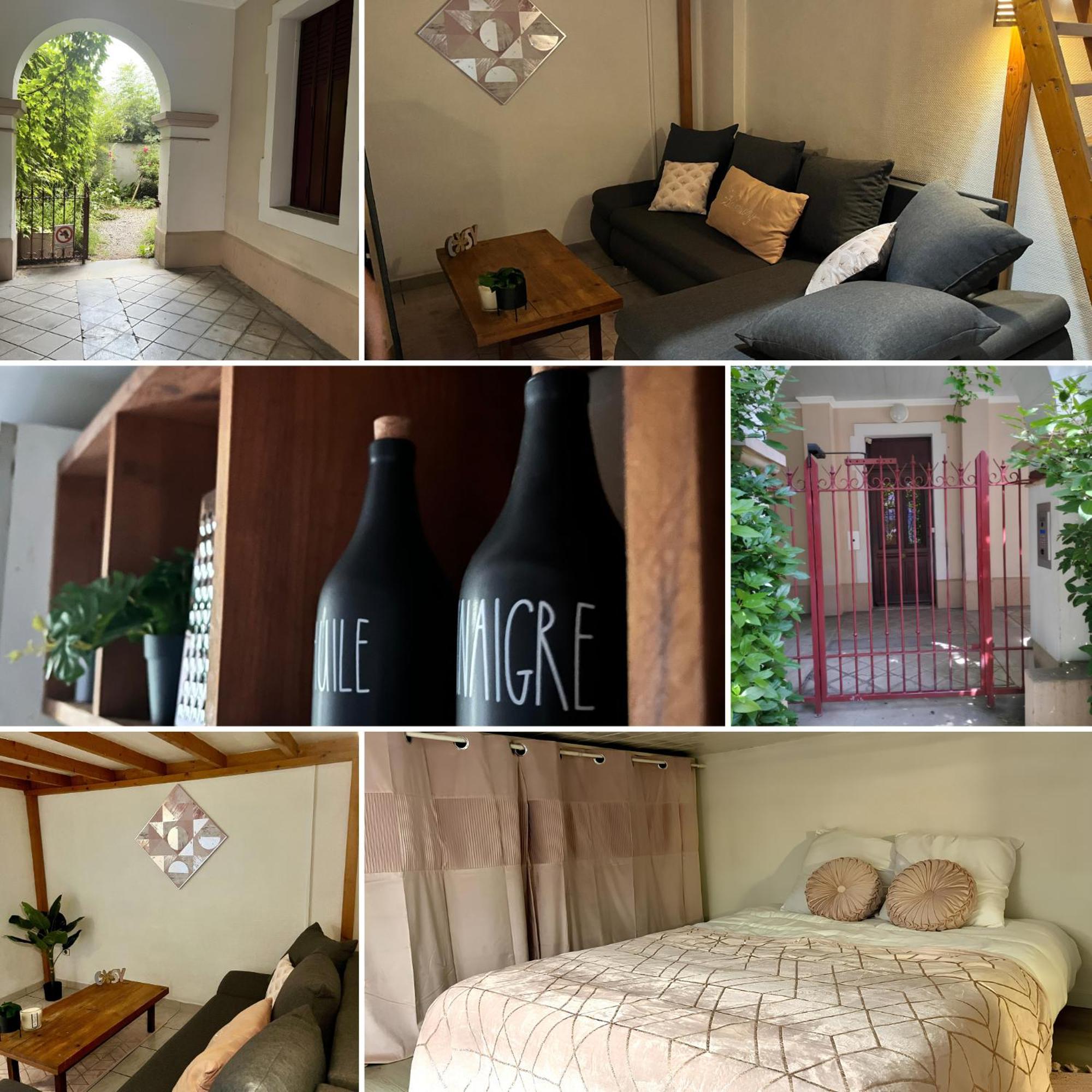 Ecrin De Verdure Hyper Centre Avec Jardin Commun Apartment *