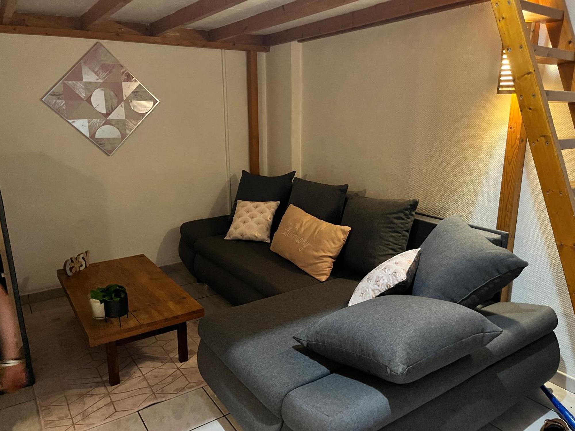 Ecrin De Verdure Hyper Centre Avec Jardin Commun *