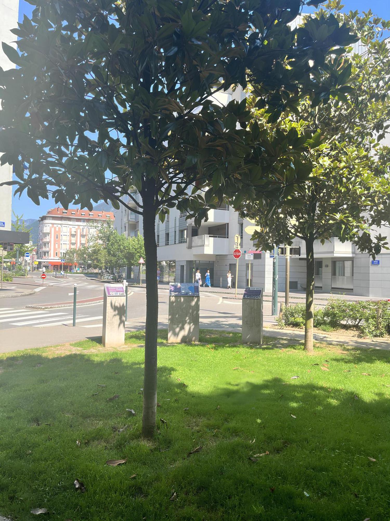 Ecrin De Verdure Hyper Centre Avec Jardin Commun Apartment Annecy
