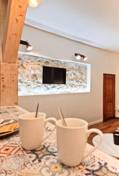 Appartement Manaslu Plein Centre Et Chaleureux *
