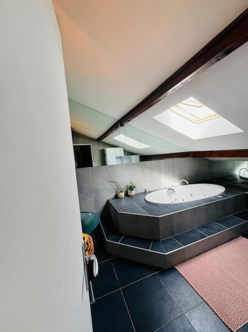 Loft Vue Sur D'annecy Et Montagnes Appartement *