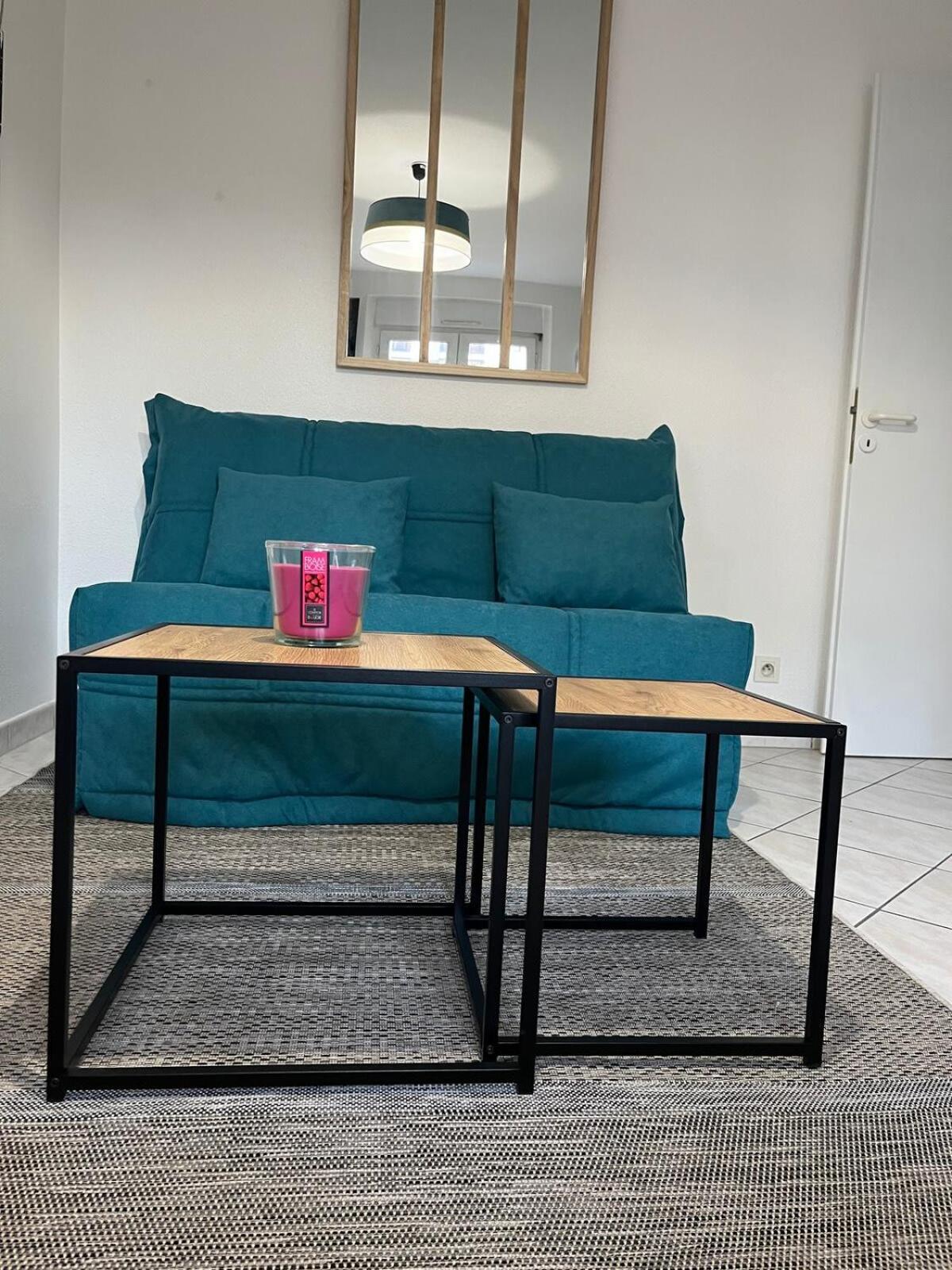 Le Rialto Cozy T2 Avec Parking * Annecy