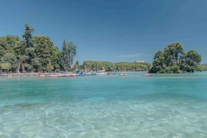 Apartment & Le Cocon Centre - Proche Gare Et Annecy