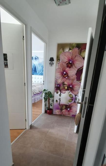 Appartement Nid Zen, Decore, Avec Ascenseur, Elegant & Calme