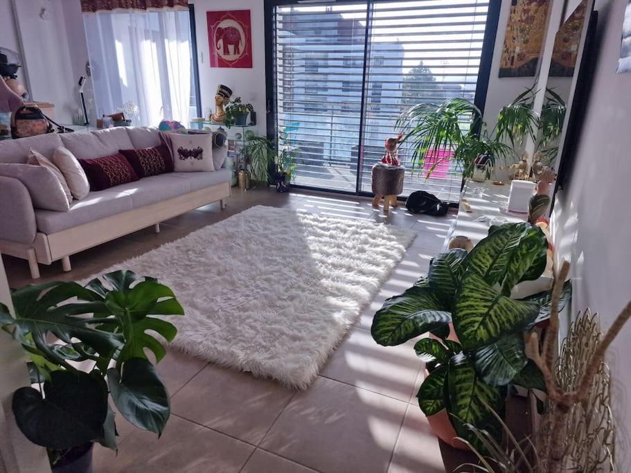 Appartement Nid Zen, Decore, Avec Ascenseur, Elegant & Calme
