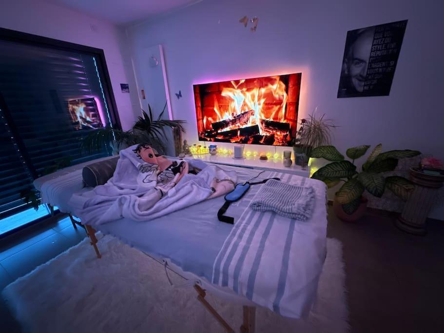 Nid Zen, Decore, Avec Ascenseur, Elegant & Calme Apartment Annecy