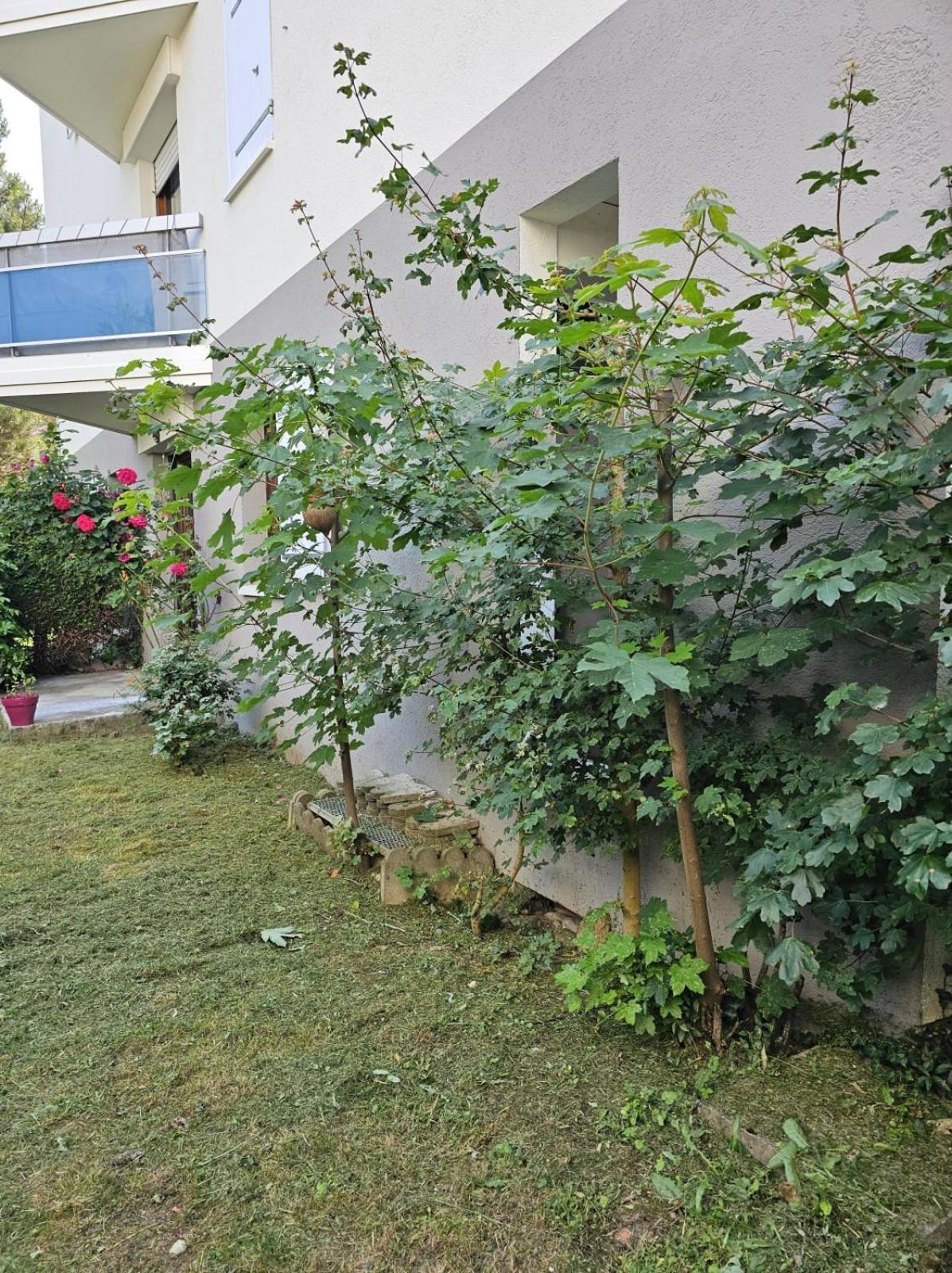 Nice Spacious Nest In