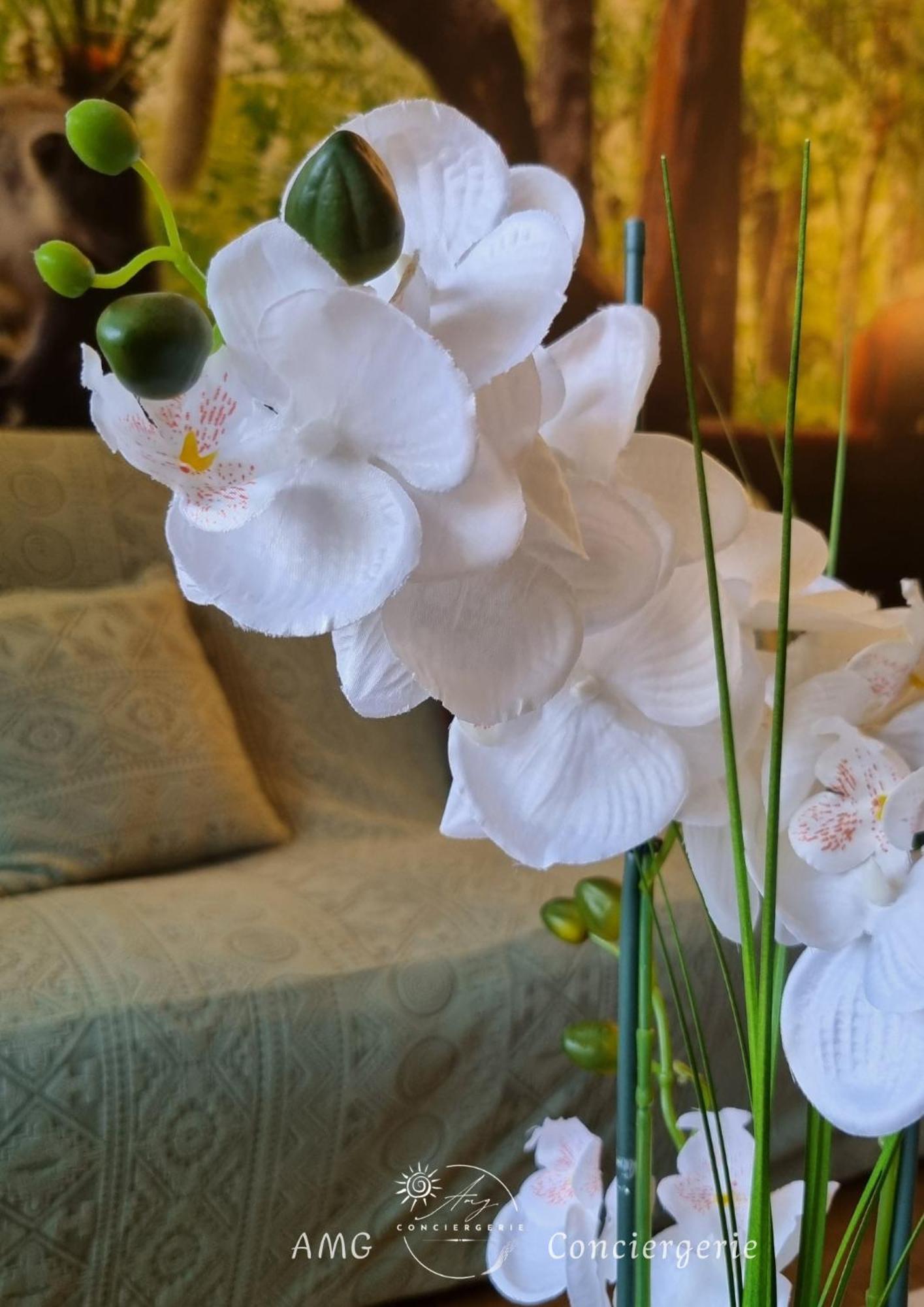 Apartment Escapade Nature *