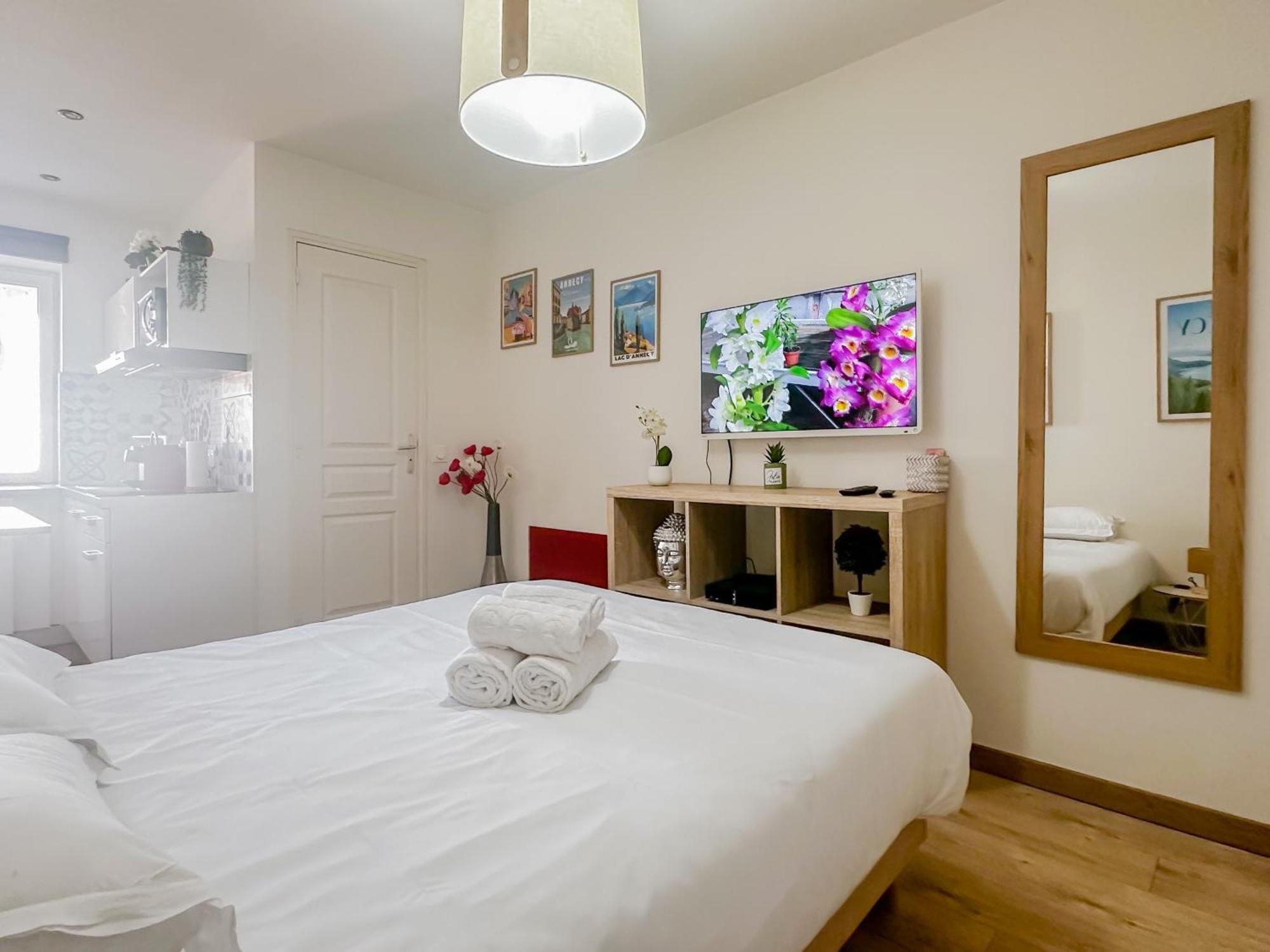 Canopee Rue Carnot Apartment Annecy