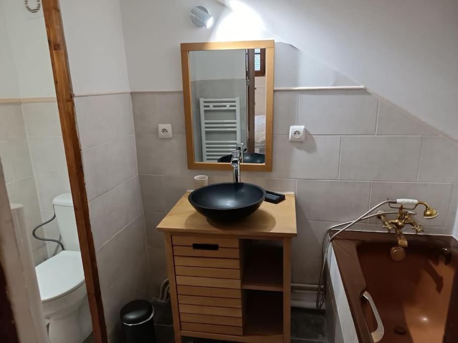 Apartment Petit Loft Des Prisons Annecy