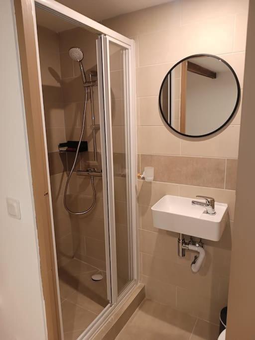 Apartment Petit Loft Des Prisons Annecy
