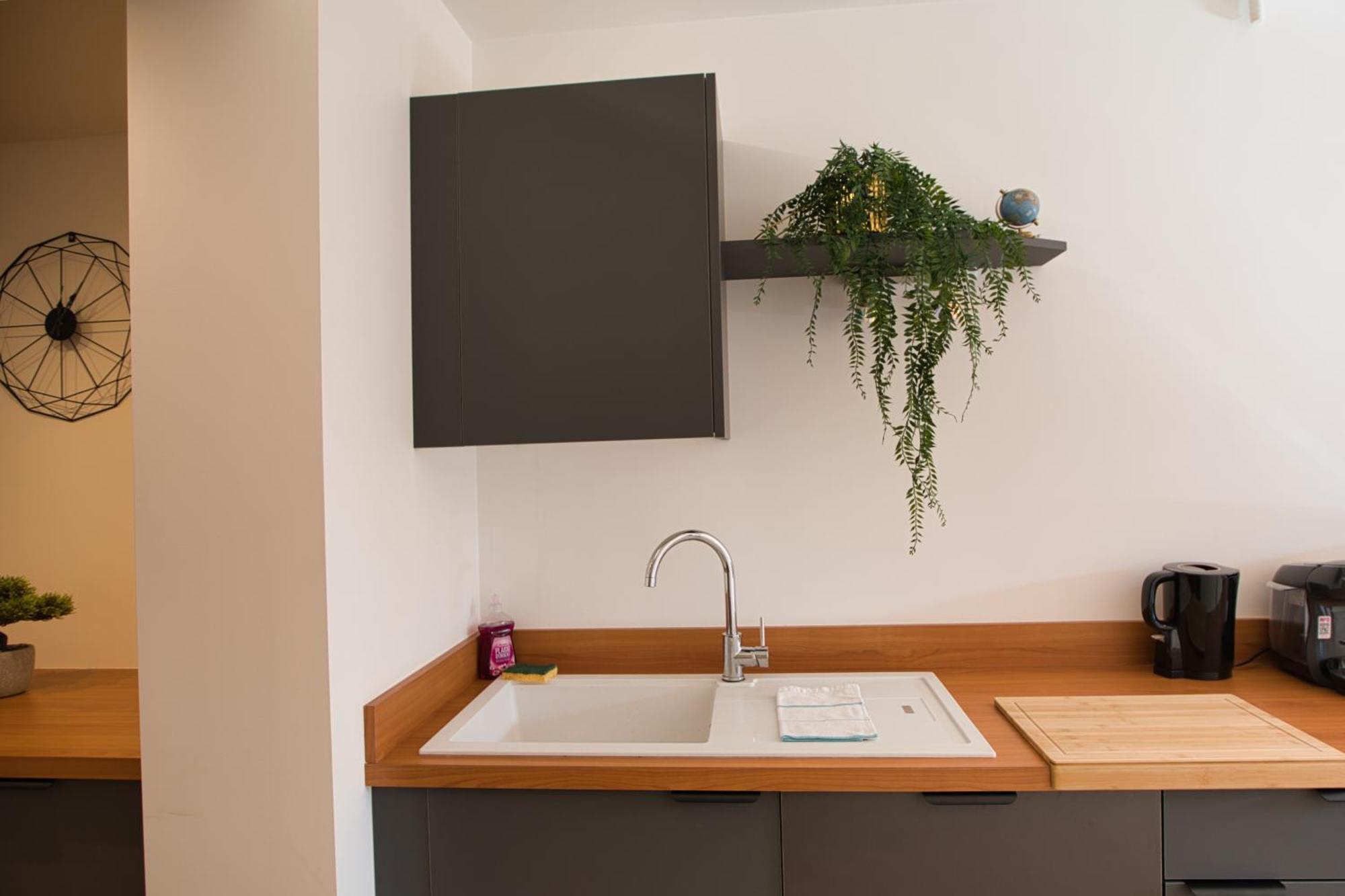 Apartment Baignoire Balneo Annecy