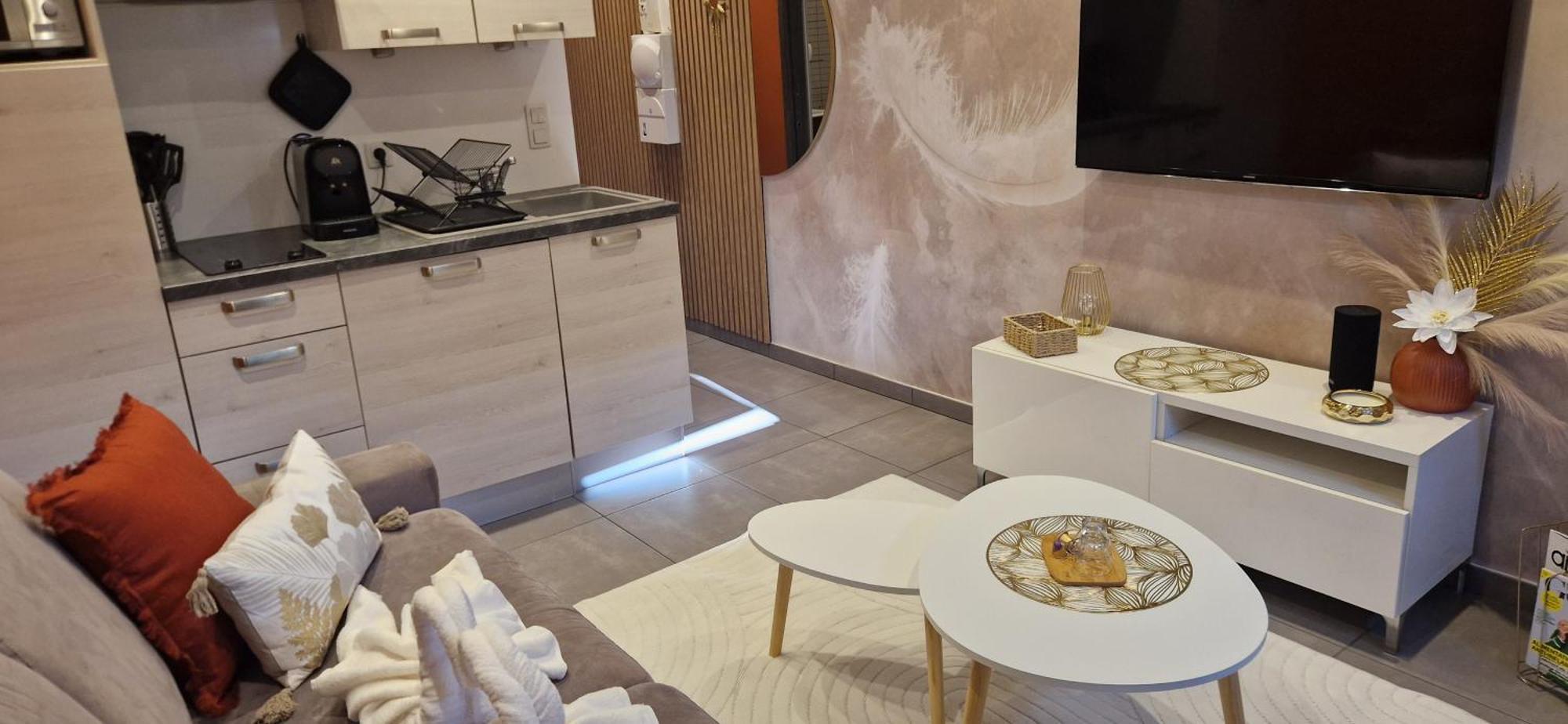 Apartment Le Cocon Du Chardon