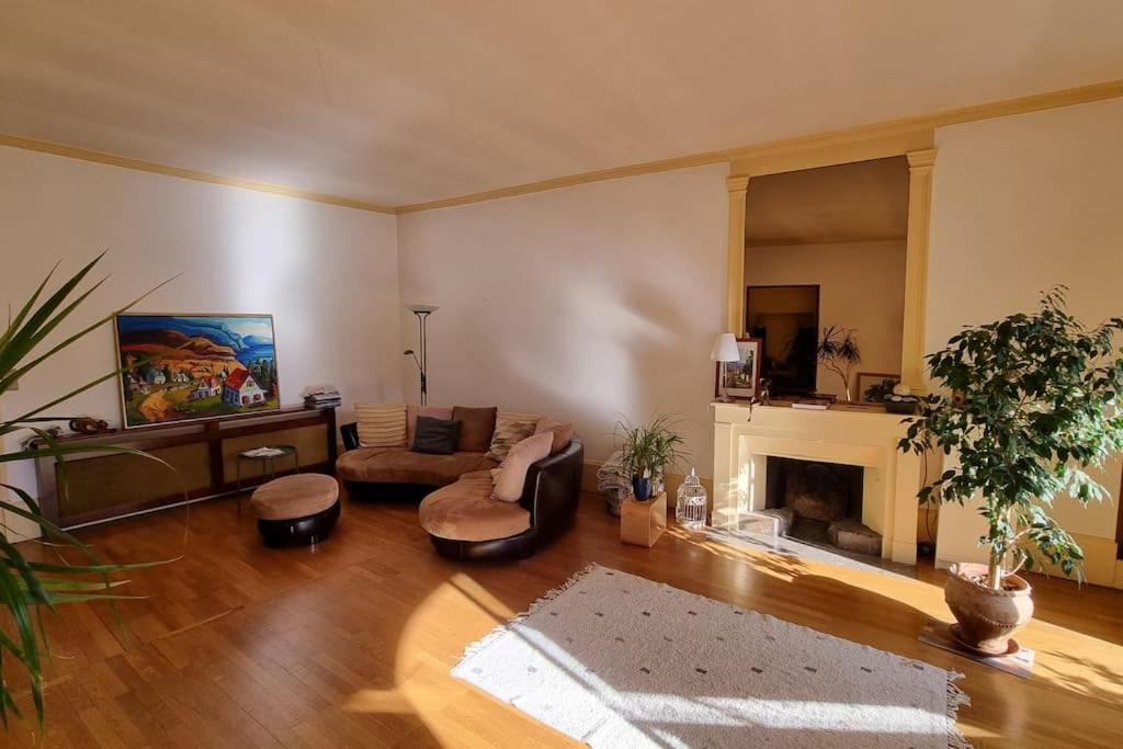 Apartment L'authentique Et Spacieux - Vieille Annecy
