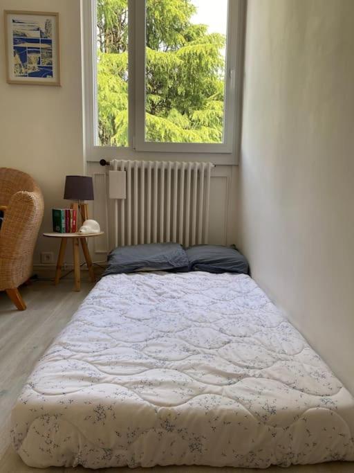 Entier Apartment