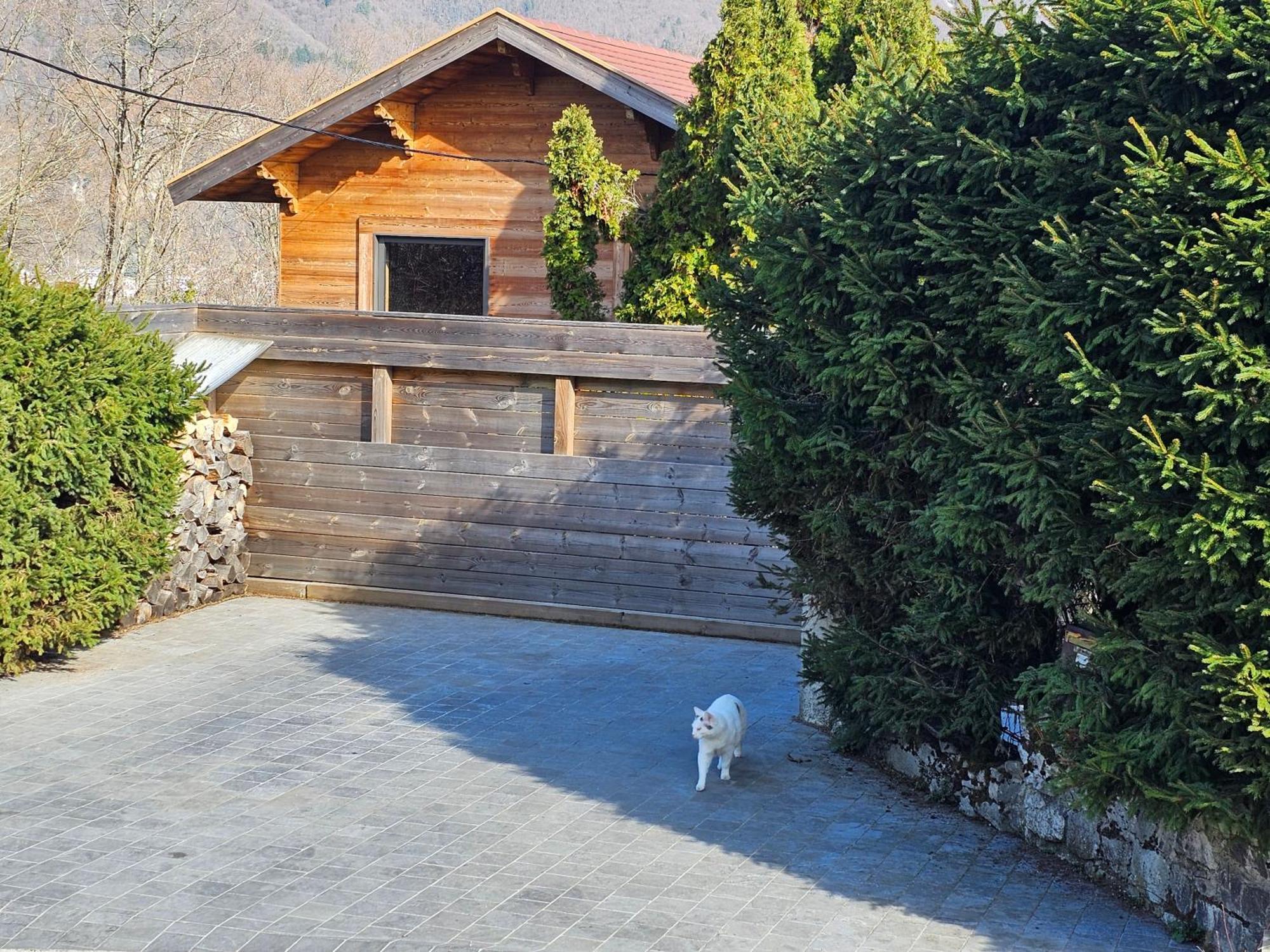 Chalet Bois Des Alpes Annecy