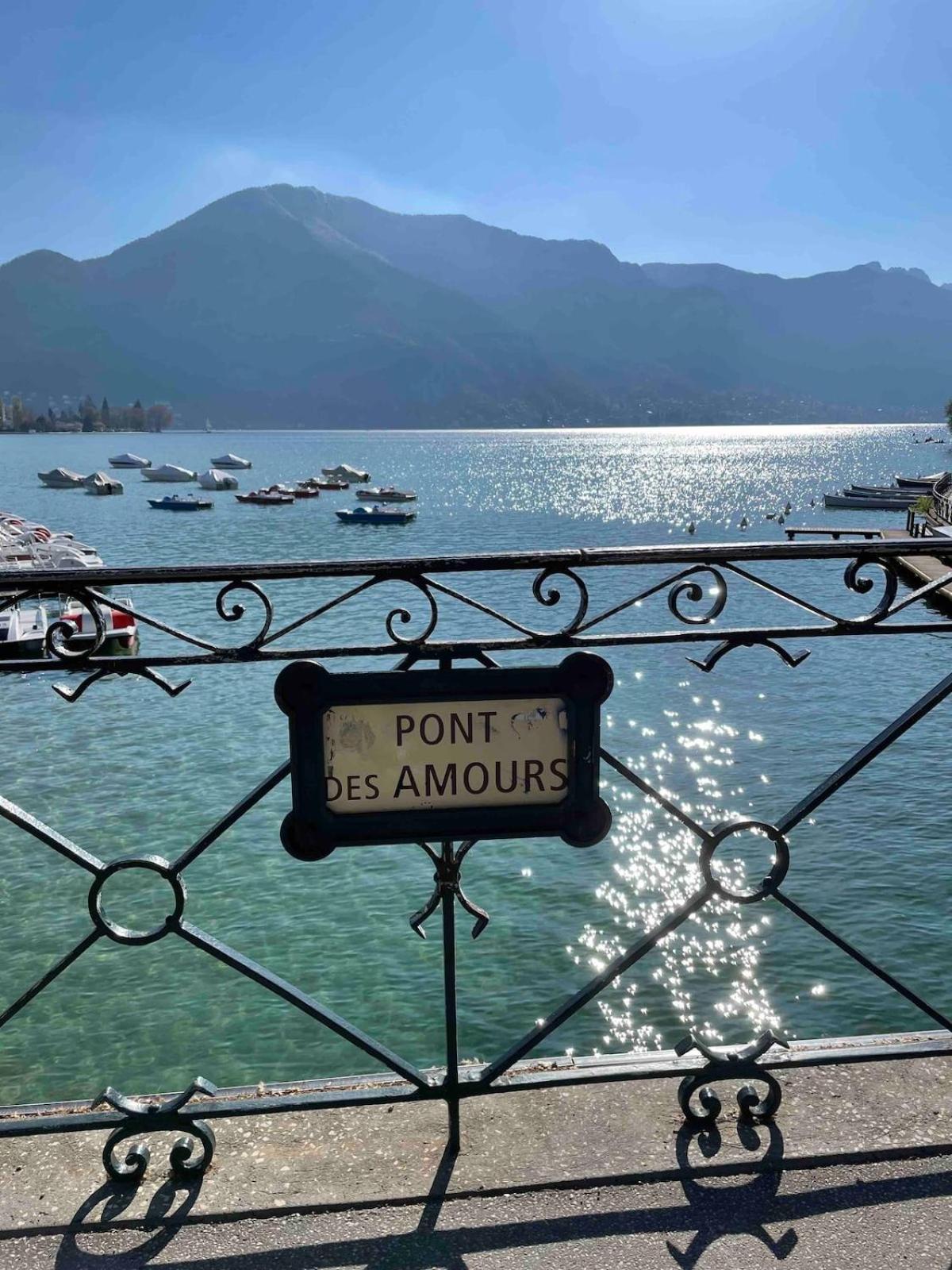 Bel Appart, Le Petit Carnot Apartment Annecy