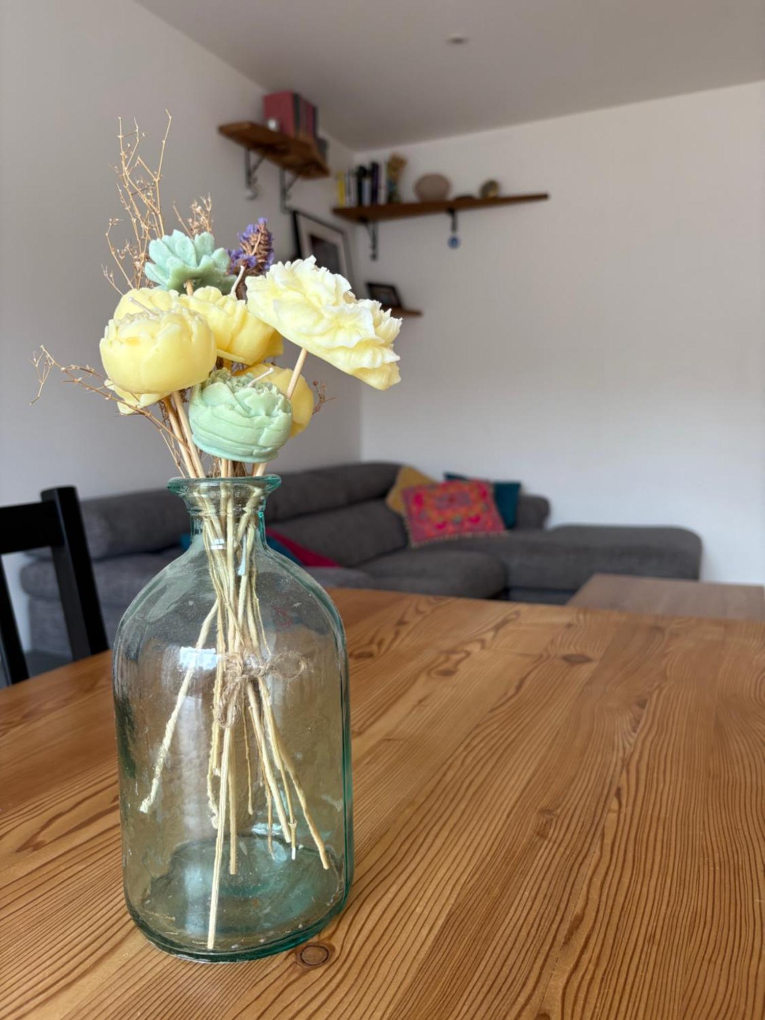 Appartement Riante Colline House Annecy