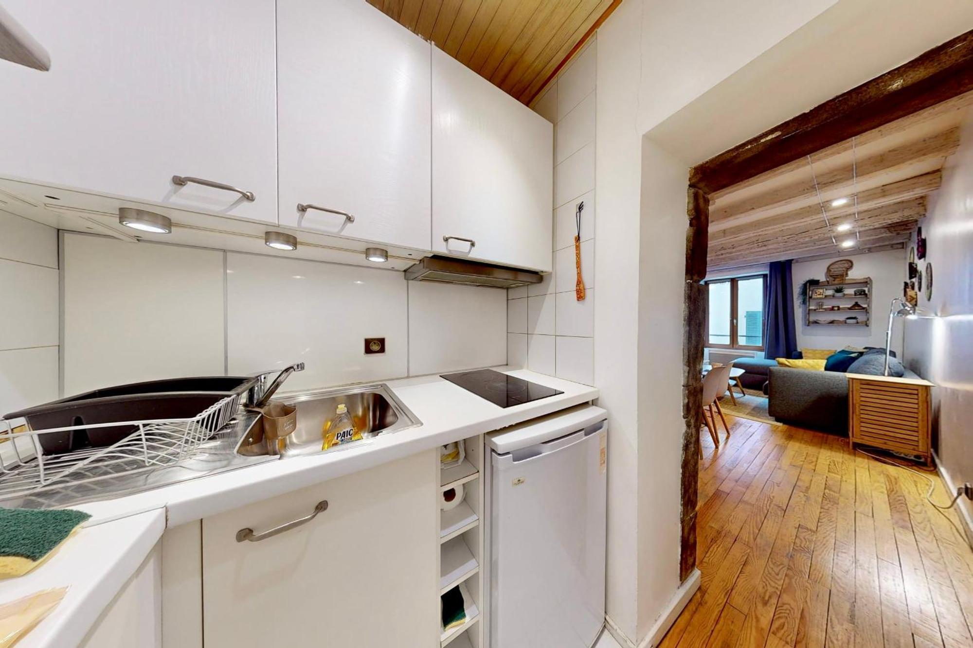 Apartment Le Cocon Rousseau - Pretty T2 In Old Town Annecy