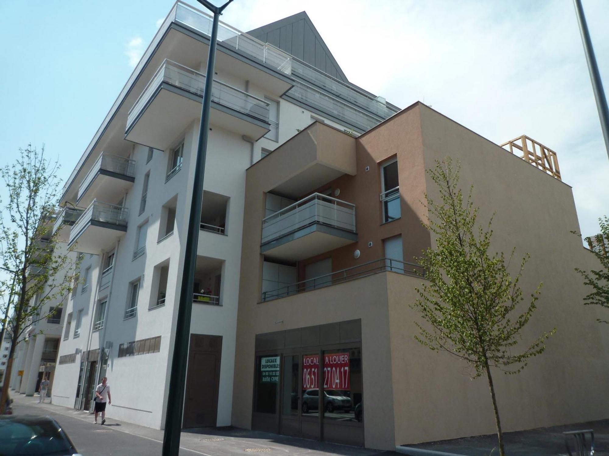 Centre-ville Annecy, 2 Ch, Animaux Admis, Parking Prive - Fr-1-432-91 Apartment