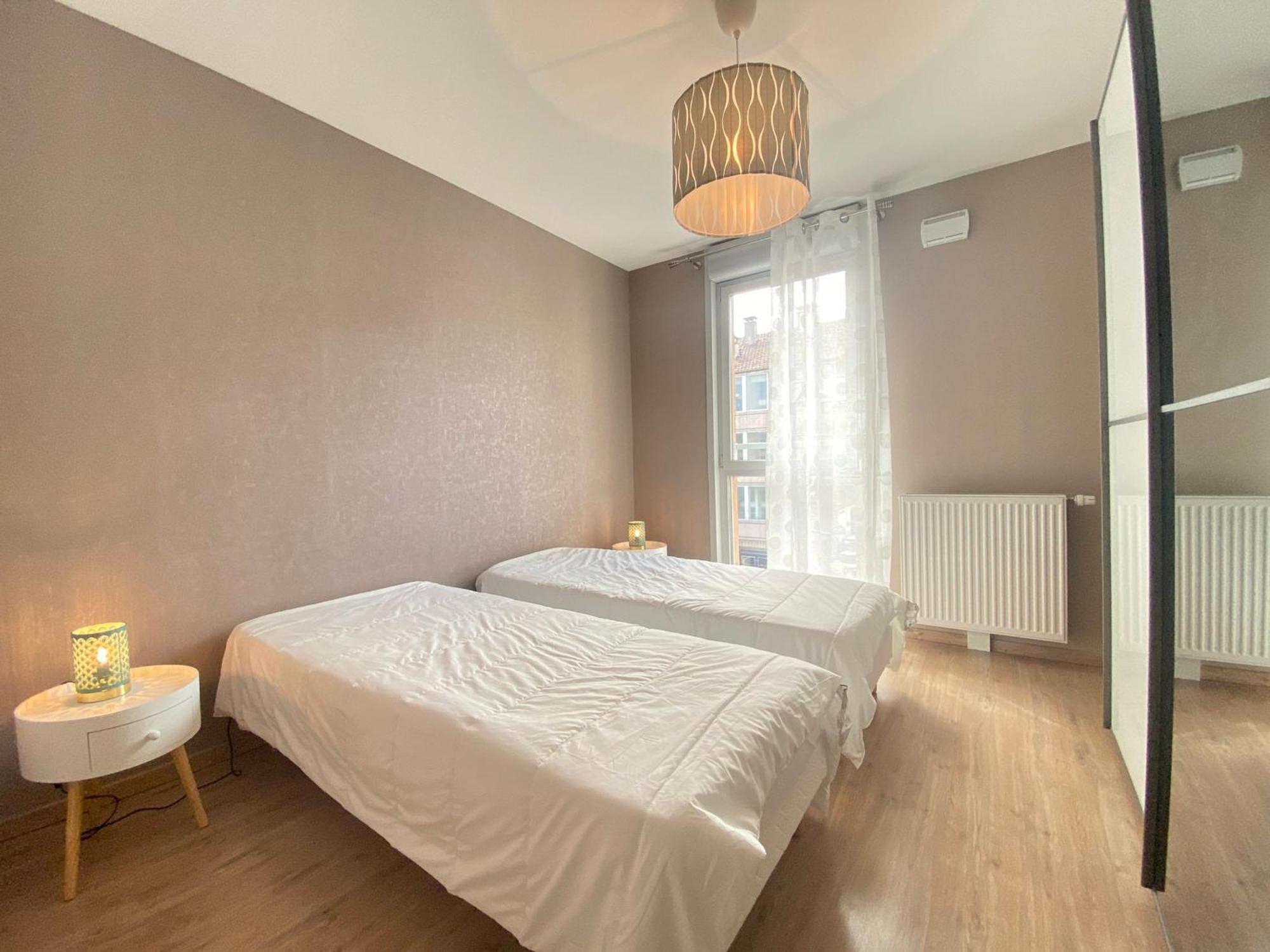 Apartment Centre-ville Annecy, 2 Ch, Animaux Admis, Parking Prive - Fr-1-432-91 *