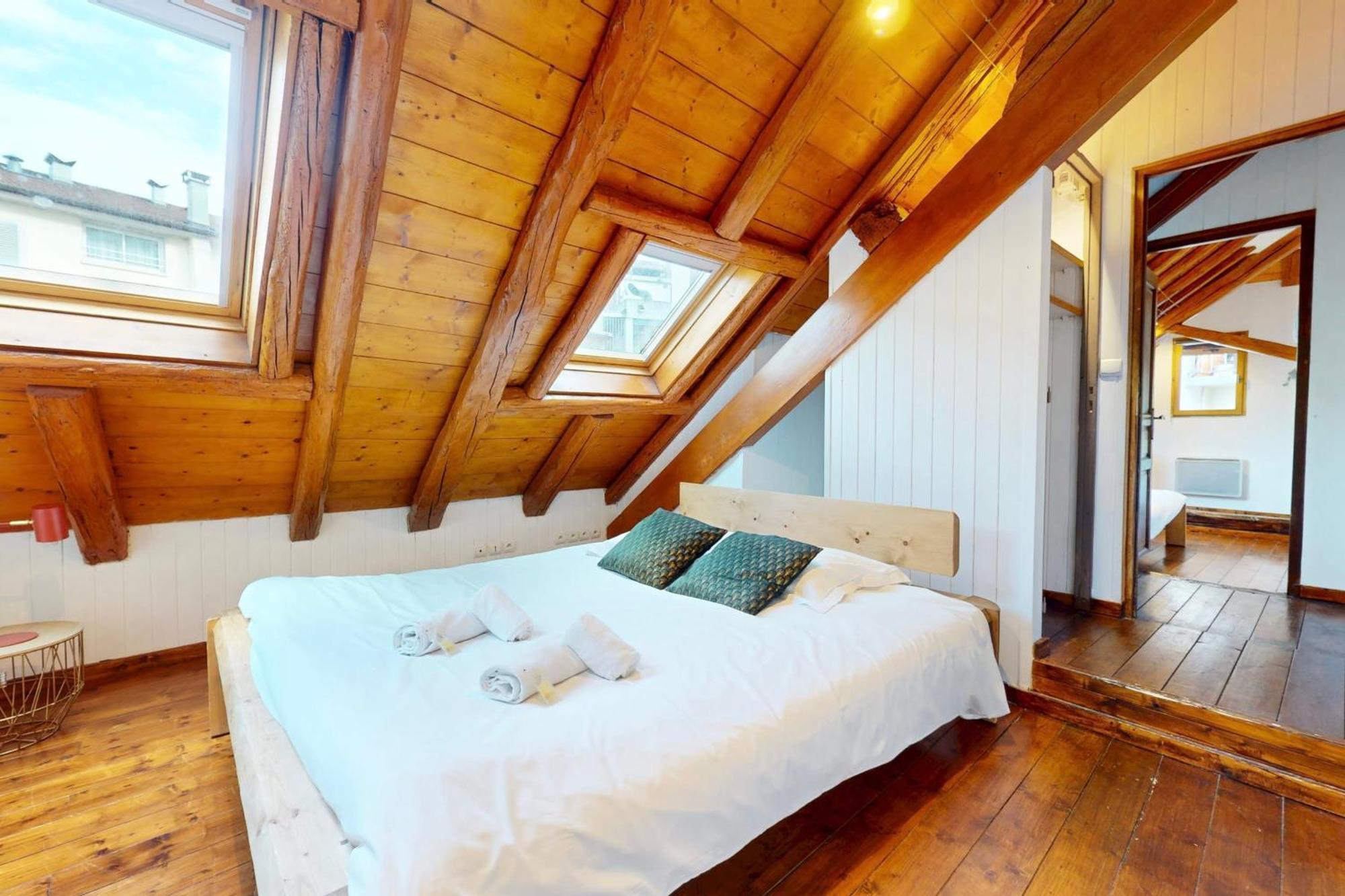 Le Paquier 7 - Bel Appartement 2 Chambres En Plein Centre Ville Apartment Annecy