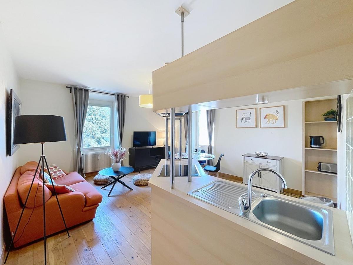 Le Cocon De Colmyr - Vue Sur Le - Parking Prive *