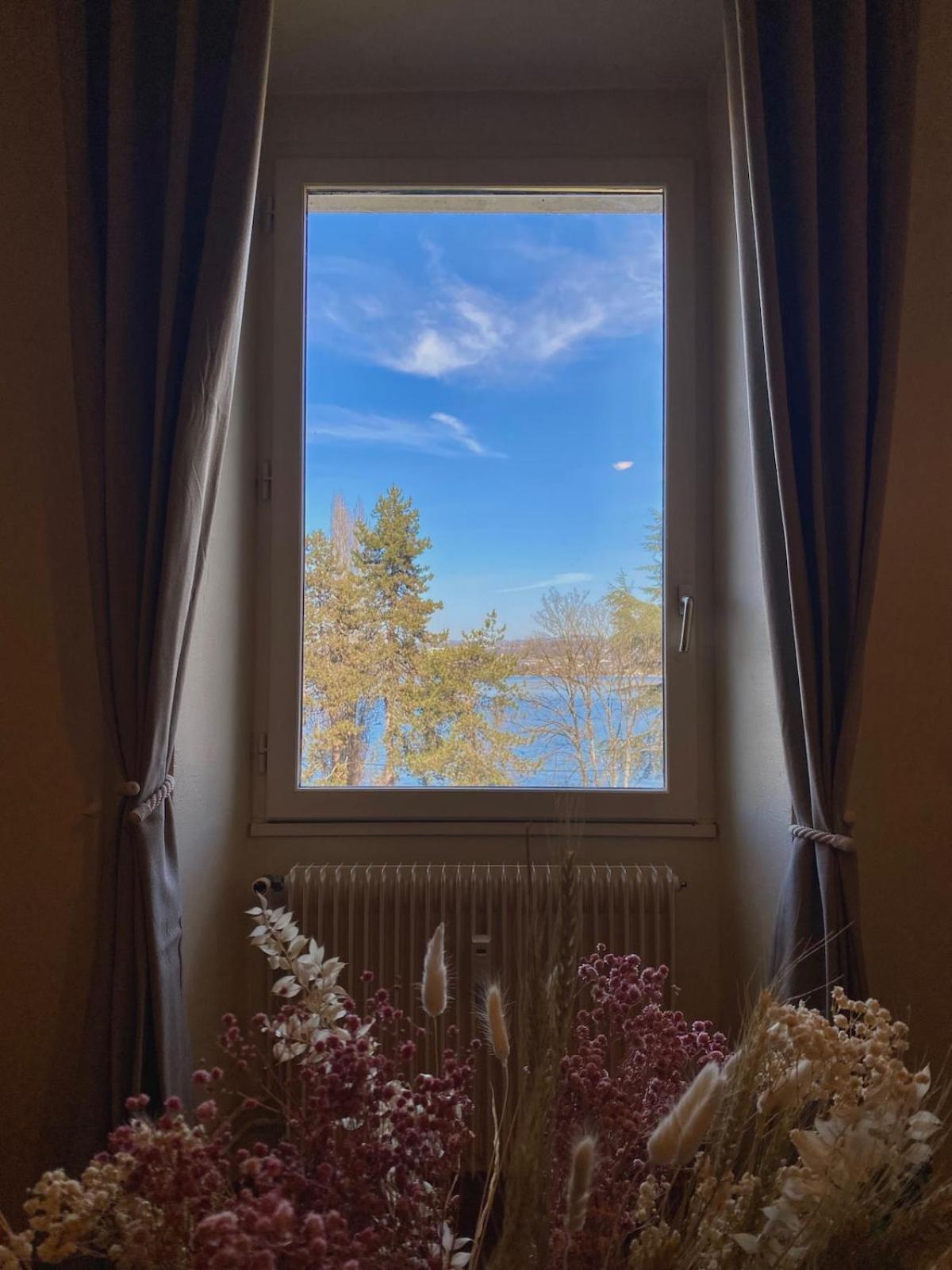 Apartment Le Cocon De Colmyr - Vue Sur Le - Parking Prive *