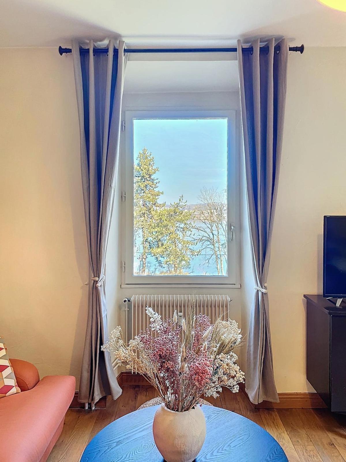 Le Cocon De Colmyr - Vue Sur Le - Parking Prive Apartment *