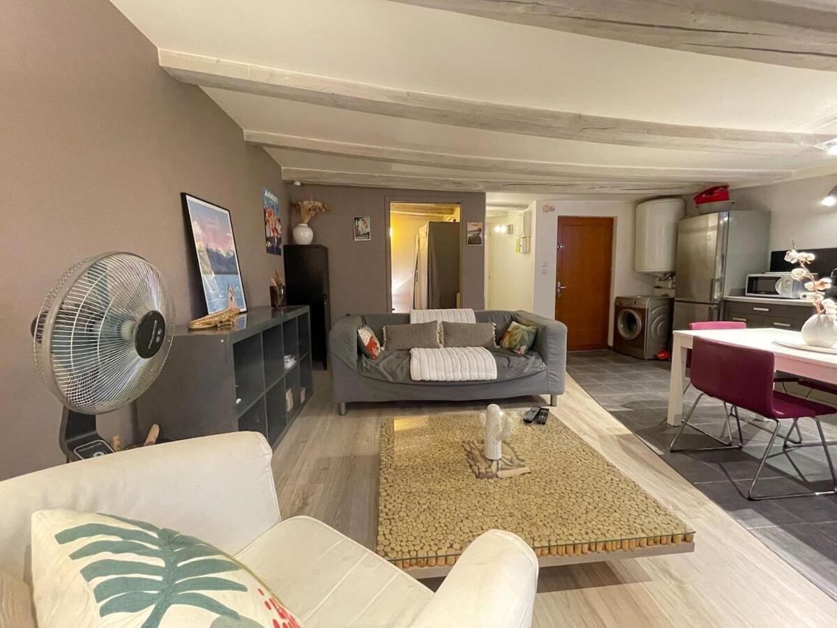 Appartement Le Plein Air D'annecy, Proche Gare Annecy