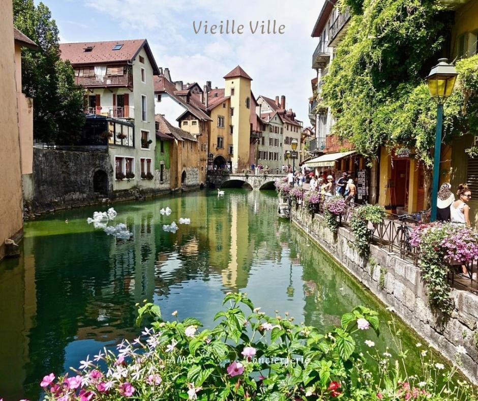 Maison Charmante, A Deux Pas Du Holiday home Annecy