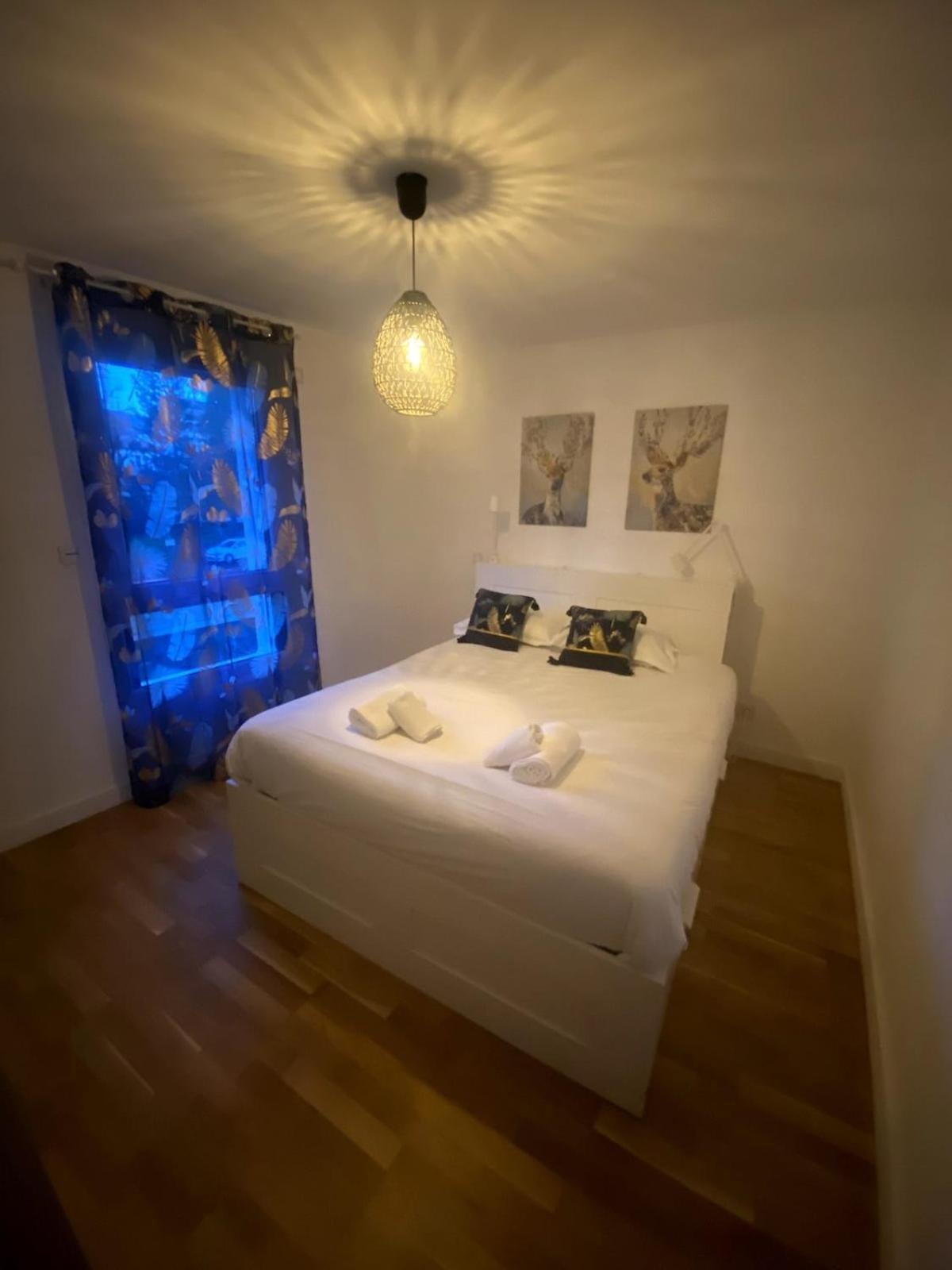 Apartment Petit Nid Au Centre Avec Garage Prive Annecy