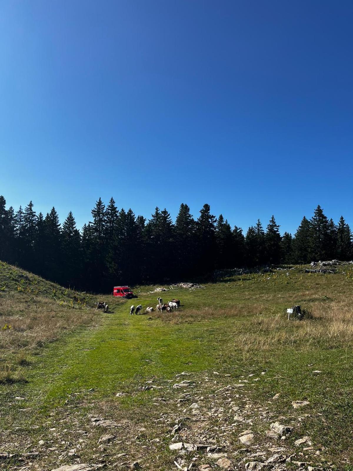 Eco Bivouac Village Igloos - Le Semnoz - A 20 Minutes D'annecy