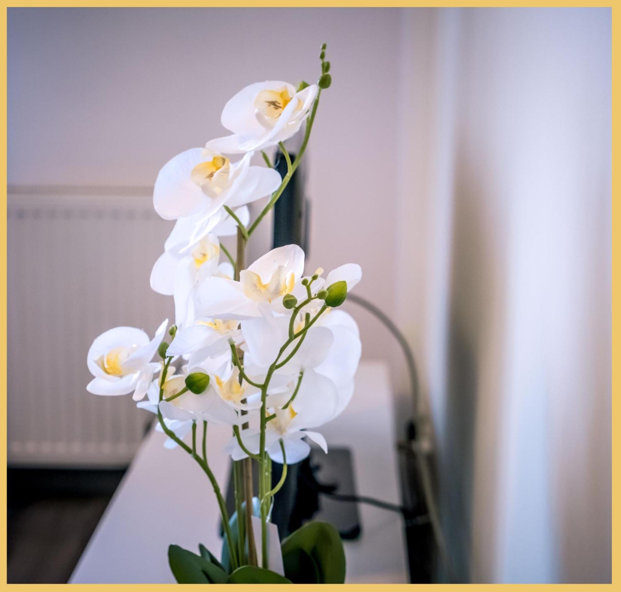 Chez Dams I T2 I Apartment