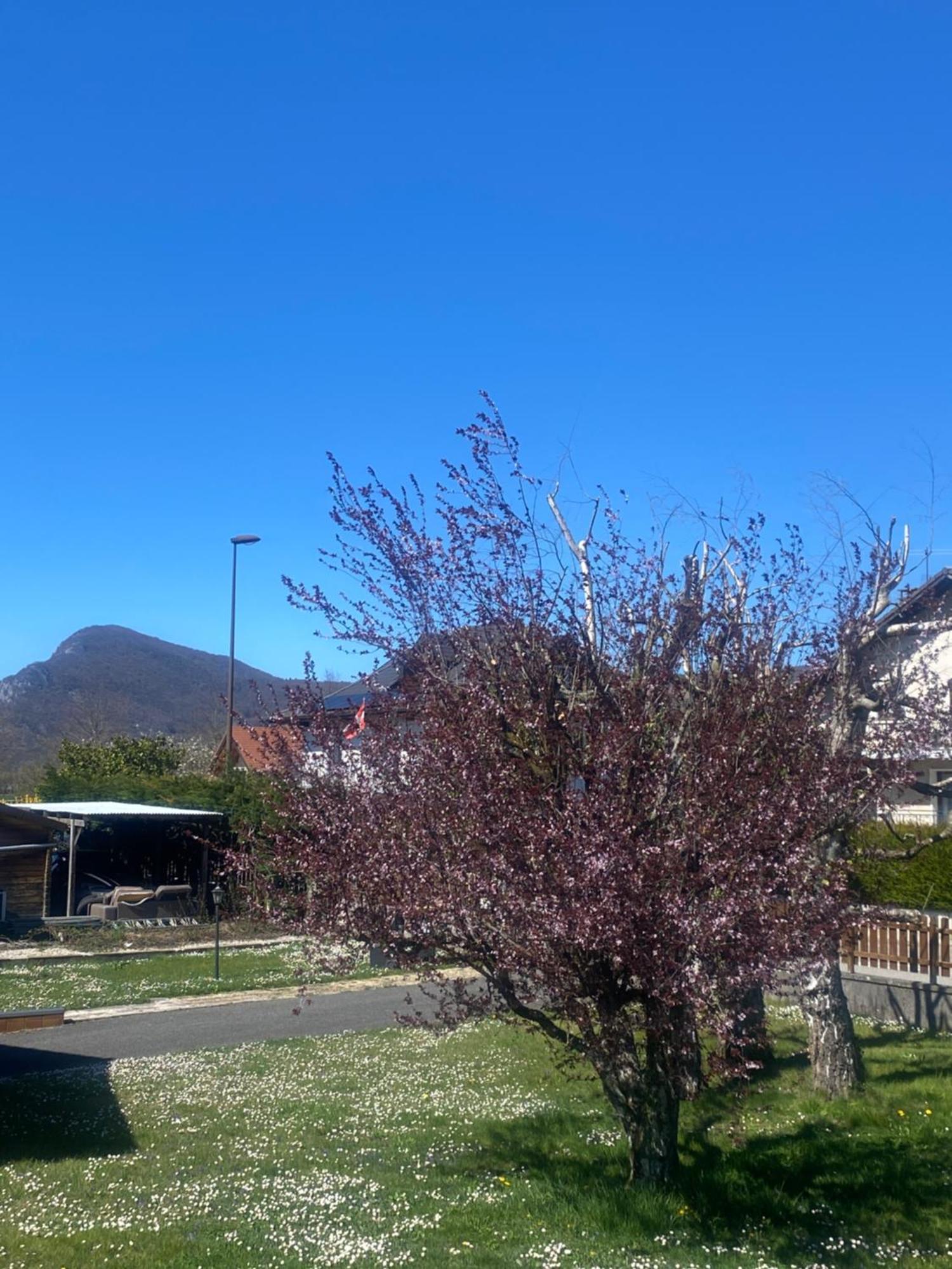 Appartement Appartement Cosy 40 M2, Climatise, Parking Gratuit *